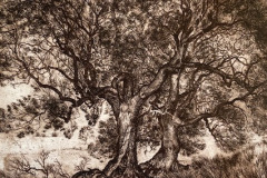 Bridget-Tempest-Two-Trees