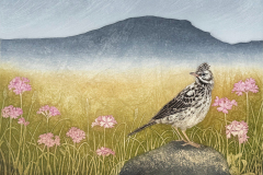 Cox-Hester-Birds-Eye-View-28-x-40.7cm