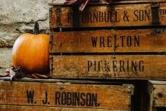 Pumpkin-on-crates-Angela-Waites