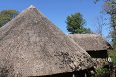 Roundhouse-in-sun